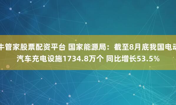 牛管家股票配资平台 国家能源局：截至8月底我国电动汽车充电设施1734.8万个 同比增长53.5%
