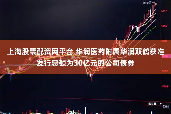 上海股票配资网平台 华润医药附属华润双鹤获准发行总额为30亿元的公司债券