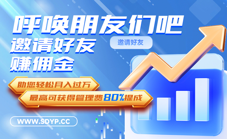 网配查配资